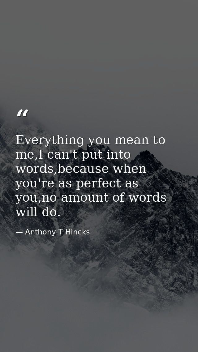 Everything you mean to me,I can't put into words,because when you're as perfect as you,no amount of words will do. — Anthony T Hincks