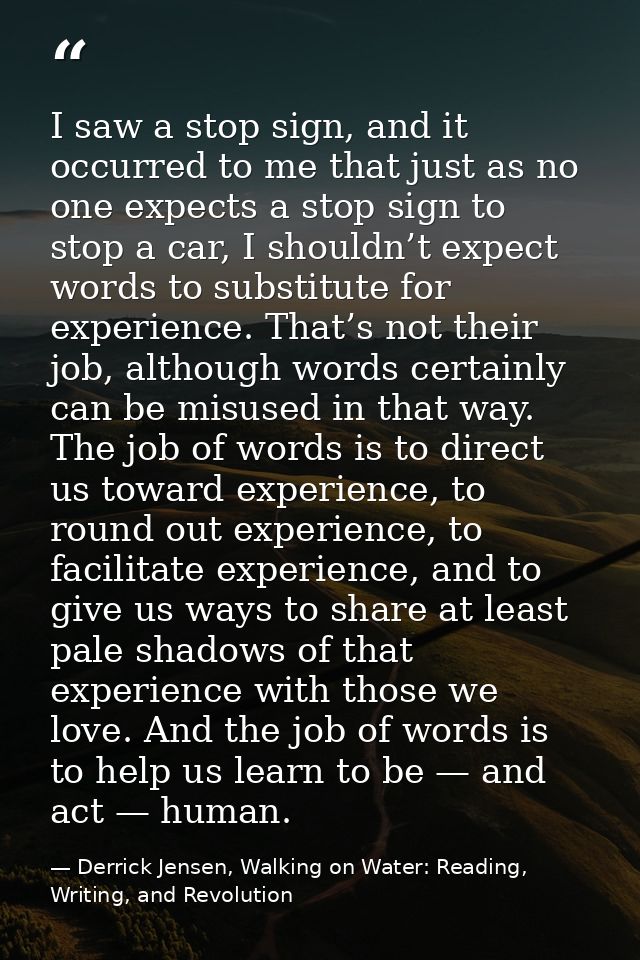 I saw a stop sign, and it occurred to me that just as no one expects a stop sign to stop a car, I shouldn’t expect words — Derrick Jensen, Walking on Water: Reading, Writing, and Revolution
