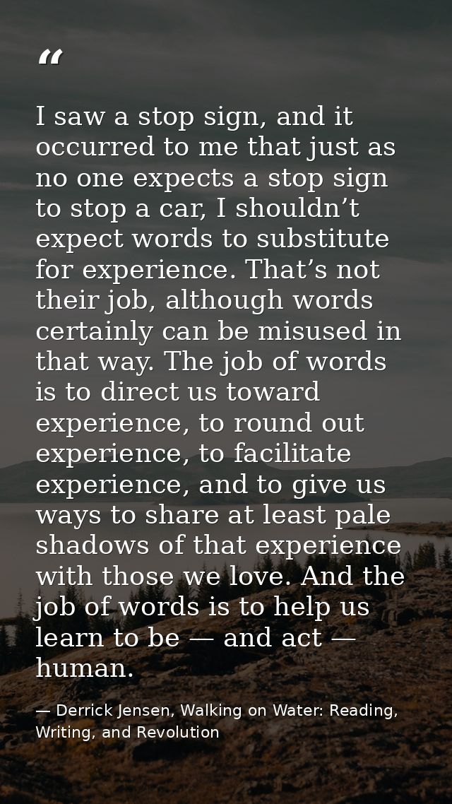 I saw a stop sign, and it occurred to me that just as no one expects a stop sign to stop a car, I shouldn’t expect words — Derrick Jensen, Walking on Water: Reading, Writing, and Revolution