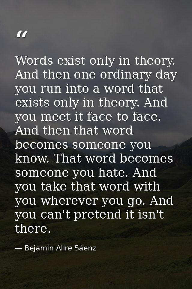 Words exist only in theory. And then one ordinary day you run into a word that exists only in theory. And you meet it fa — Bejamin Alire Sáenz