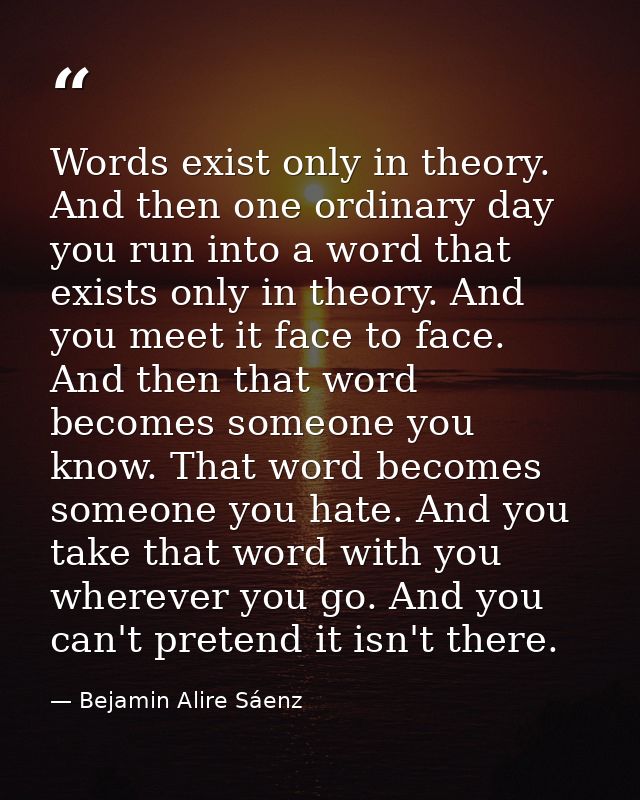 Words exist only in theory. And then one ordinary day you run into a word that exists only in theory. And you meet it fa — Bejamin Alire Sáenz