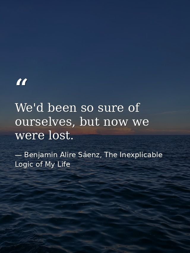 We'd been so sure of ourselves, but now we were lost. — Benjamin Alire Sáenz, The Inexplicable Logic of My Life