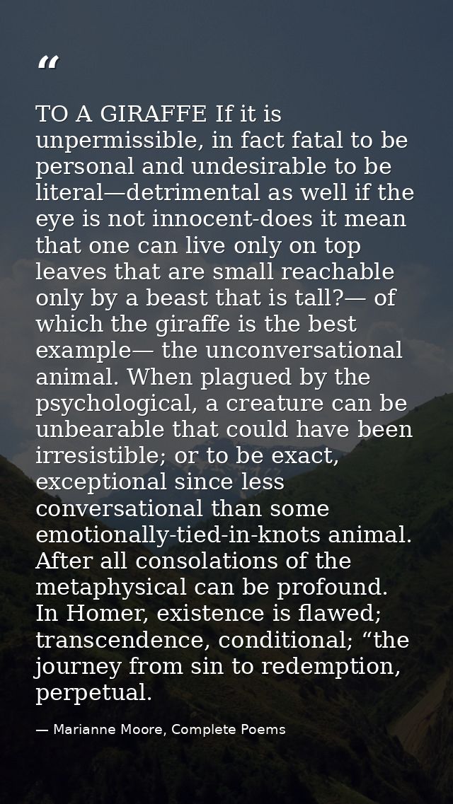 TO A GIRAFFE If it is unpermissible, in fact fatal to be personal and undesirable to be literal—detrimental as well if t — Marianne Moore, Complete Poems