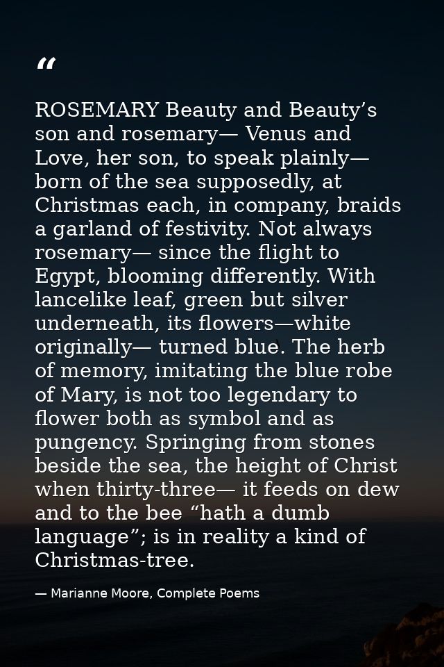 ROSEMARY Beauty and Beauty’s son and rosemary— Venus and Love, her son, to speak plainly— born of the sea supposedly, at — Marianne Moore, Complete Poems