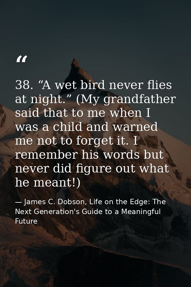 38. “A wet bird never flies at night.” (My grandfather said that to me when I was a child and warned me not to forget it — James C. Dobson, Life on the Edge: The Next Generation's Guide to a Meaningful Future