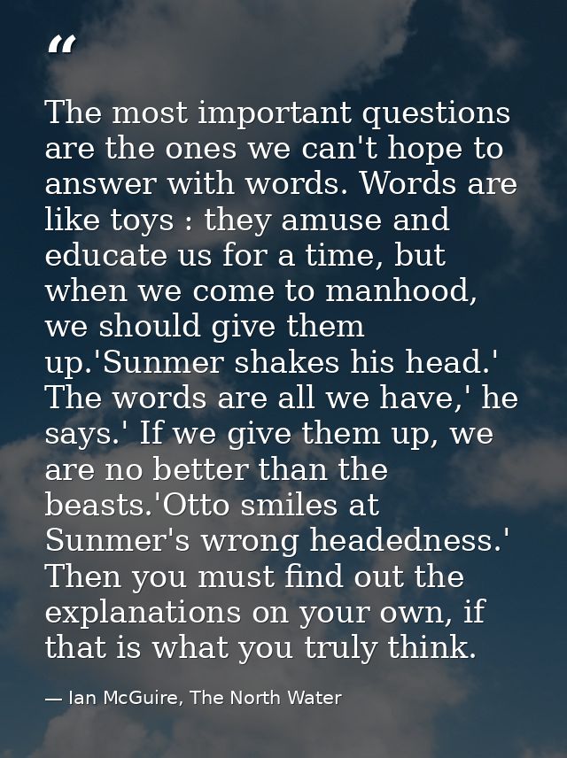 The most important questions are the ones we can't hope to answer with words. Words are like toys : they amuse and educa — Ian McGuire, The North Water