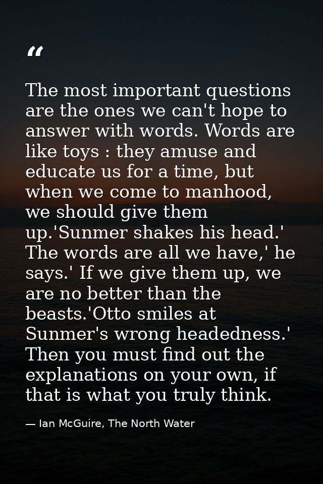 The most important questions are the ones we can't hope to answer with words. Words are like toys : they amuse and educa — Ian McGuire, The North Water