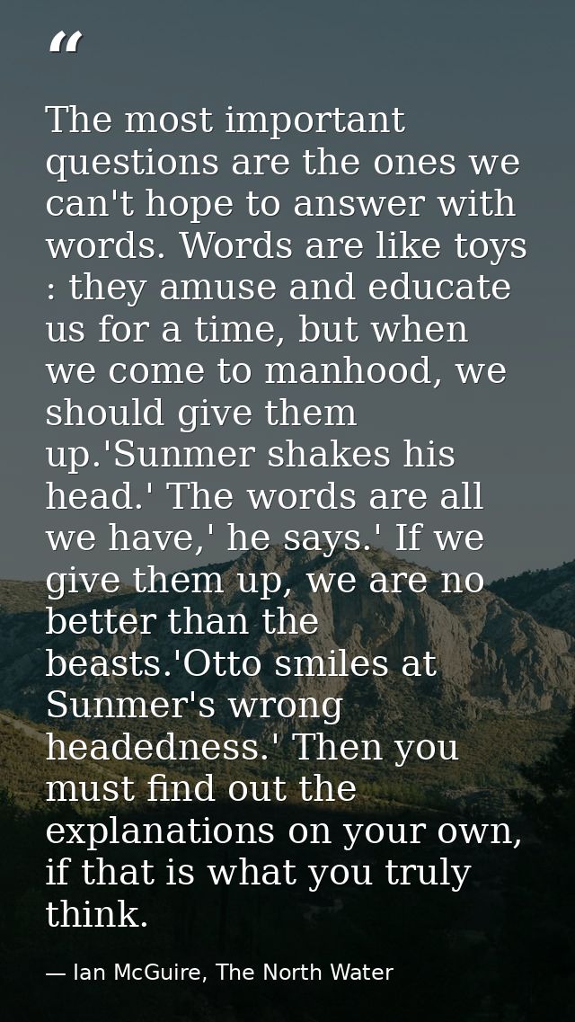 The most important questions are the ones we can't hope to answer with words. Words are like toys : they amuse and educa — Ian McGuire, The North Water
