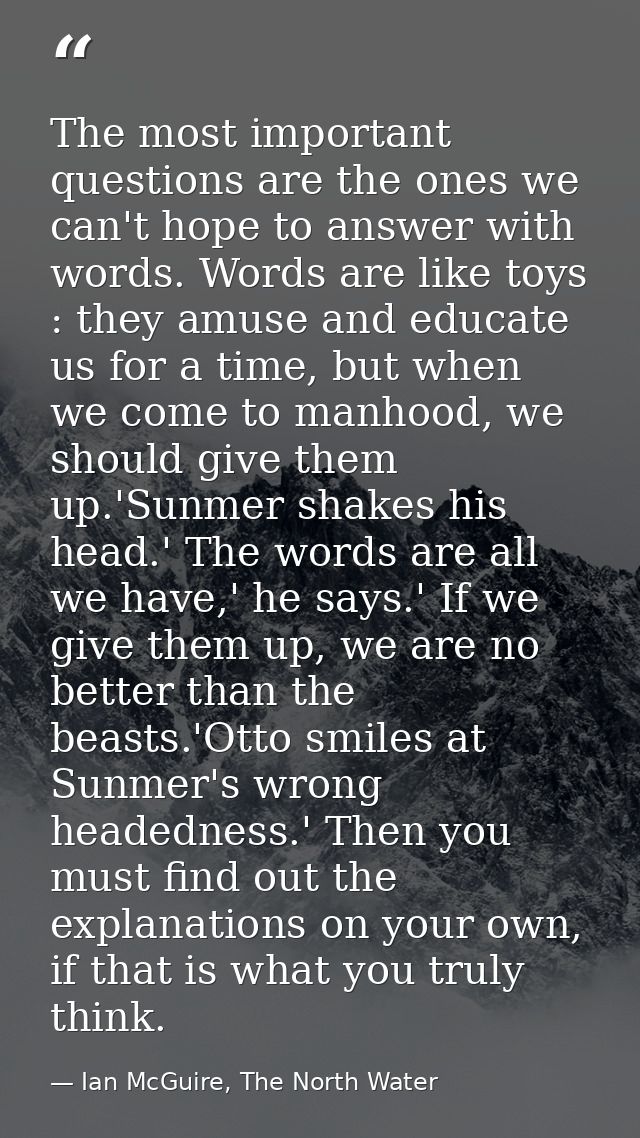 The most important questions are the ones we can't hope to answer with words. Words are like toys : they amuse and educa — Ian McGuire, The North Water