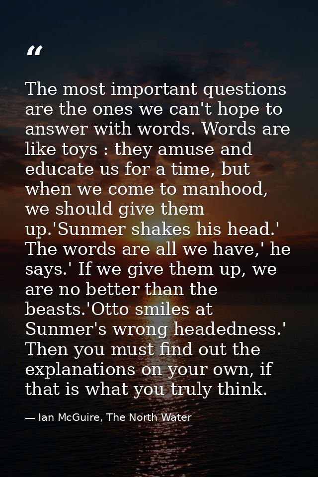 The most important questions are the ones we can't hope to answer with words. Words are like toys : they amuse and educa — Ian McGuire, The North Water