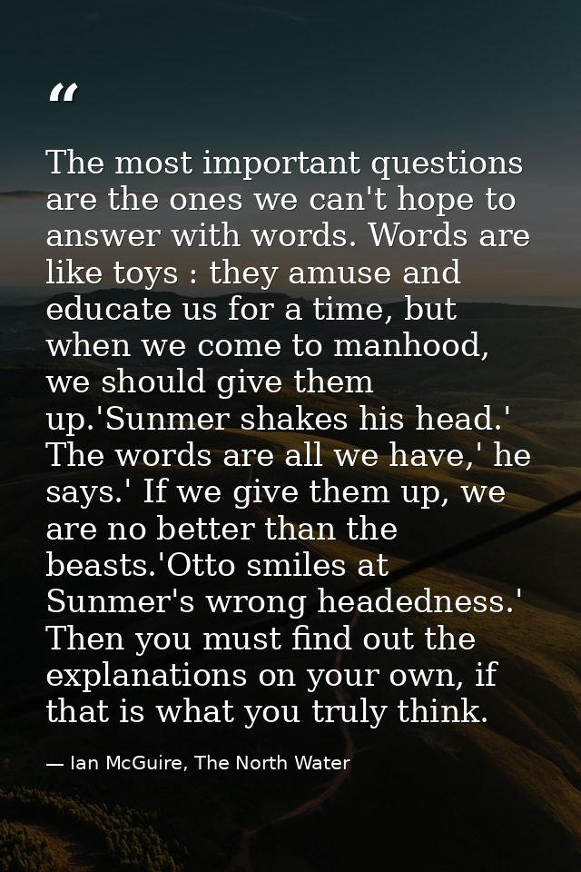 The most important questions are the ones we can't hope to answer with words. Words are like toys : they amuse and educa — Ian McGuire, The North Water
