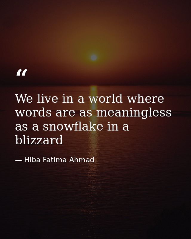 We live in a world where words are as meaningless as a snowflake in a blizzard — Hiba Fatima Ahmad