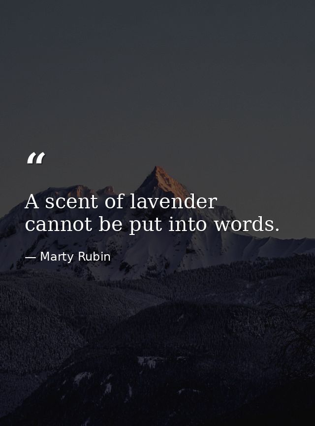 A scent of lavender cannot be put into words. — Marty Rubin