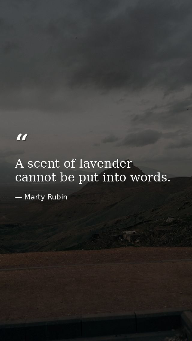 A scent of lavender cannot be put into words. — Marty Rubin