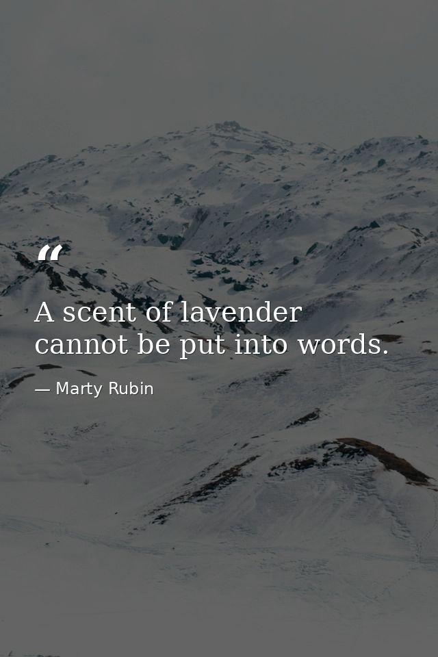A scent of lavender cannot be put into words. — Marty Rubin