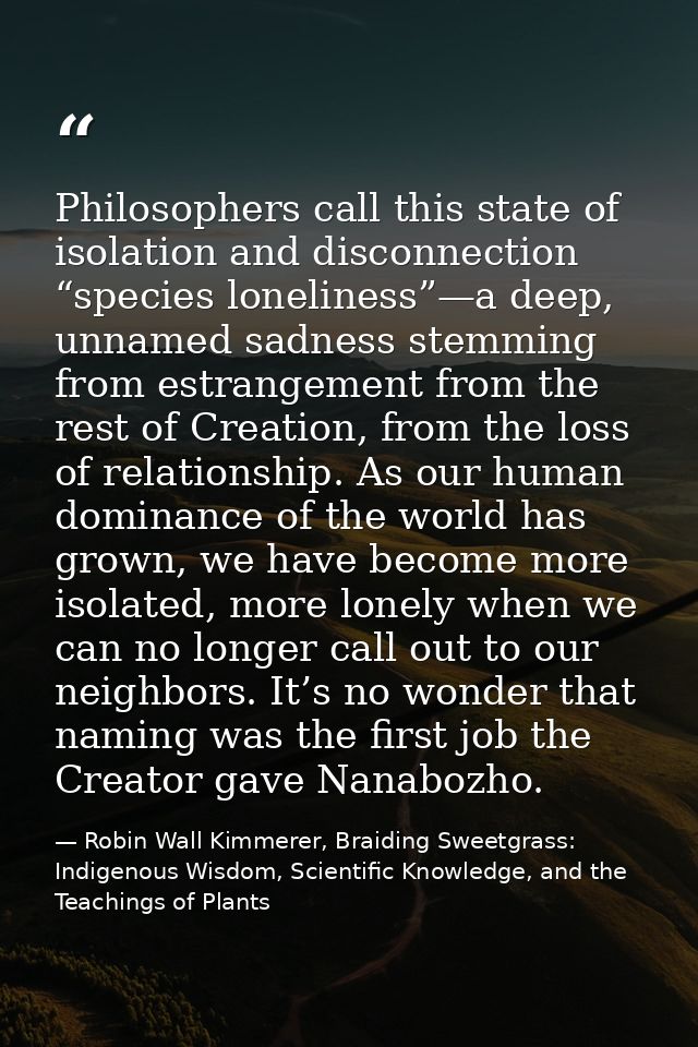 Philosophers call this state of isolation and disconnection “species loneliness”—a deep, unnamed sadness stemming from e — Robin Wall Kimmerer, Braiding Sweetgrass: Indigenous Wisdom, Scientific Knowledge, and the Teachings of Plants