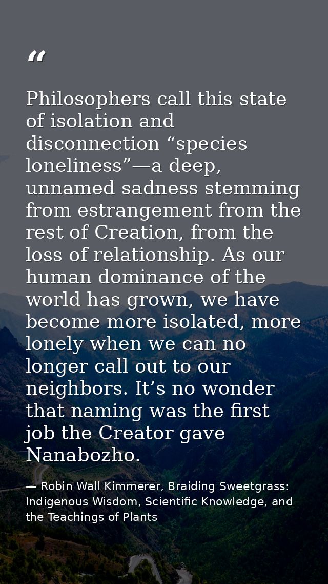 Philosophers call this state of isolation and disconnection “species loneliness”—a deep, unnamed sadness stemming from e — Robin Wall Kimmerer, Braiding Sweetgrass: Indigenous Wisdom, Scientific Knowledge, and the Teachings of Plants