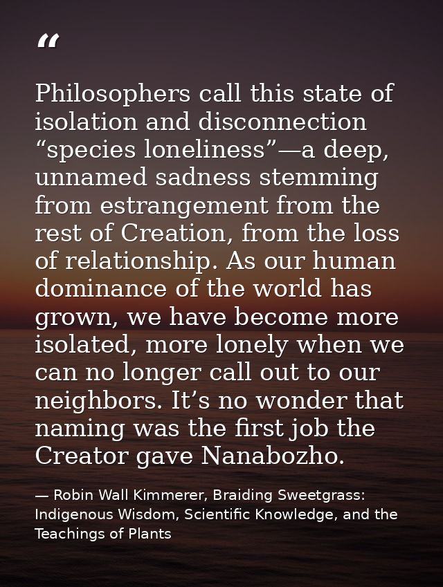 Philosophers call this state of isolation and disconnection “species loneliness”—a deep, unnamed sadness stemming from e — Robin Wall Kimmerer, Braiding Sweetgrass: Indigenous Wisdom, Scientific Knowledge, and the Teachings of Plants