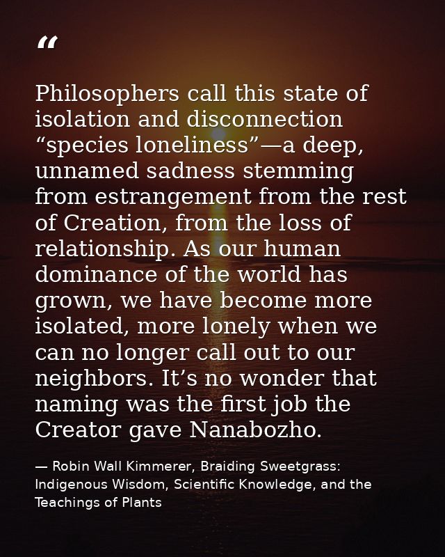 Philosophers call this state of isolation and disconnection “species loneliness”—a deep, unnamed sadness stemming from e — Robin Wall Kimmerer, Braiding Sweetgrass: Indigenous Wisdom, Scientific Knowledge, and the Teachings of Plants