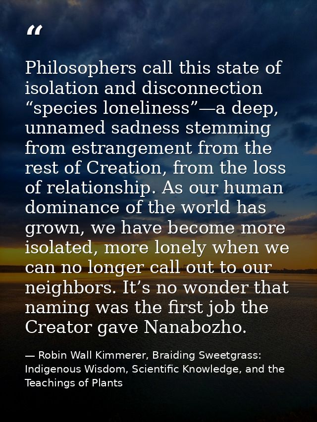 Philosophers call this state of isolation and disconnection “species loneliness”—a deep, unnamed sadness stemming from e — Robin Wall Kimmerer, Braiding Sweetgrass: Indigenous Wisdom, Scientific Knowledge, and the Teachings of Plants
