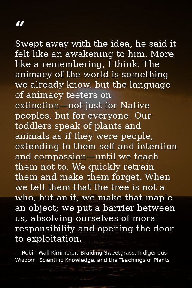 Swept away with the idea, he said it felt like an awakening to him. More like a remembering, I think. The animacy of the — Robin Wall Kimmerer, Braiding Sweetgrass: Indigenous Wisdom, Scientific Knowledge, and the Teachings of Plants