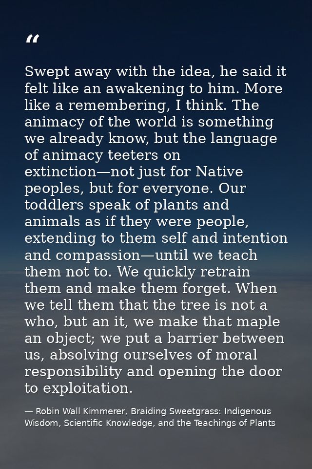 Swept away with the idea, he said it felt like an awakening to him. More like a remembering, I think. The animacy of the — Robin Wall Kimmerer, Braiding Sweetgrass: Indigenous Wisdom, Scientific Knowledge, and the Teachings of Plants