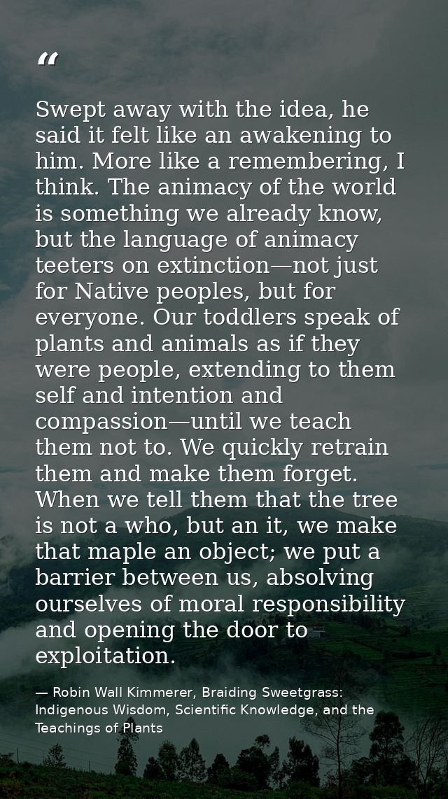 Swept away with the idea, he said it felt like an awakening to him. More like a remembering, I think. The animacy of the — Robin Wall Kimmerer, Braiding Sweetgrass: Indigenous Wisdom, Scientific Knowledge, and the Teachings of Plants