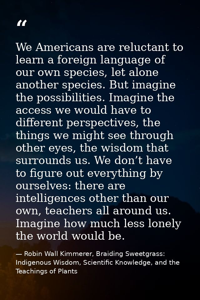 We Americans are reluctant to learn a foreign language of our own species, let alone another species. But imagine the po — Robin Wall Kimmerer, Braiding Sweetgrass: Indigenous Wisdom, Scientific Knowledge, and the Teachings of Plants