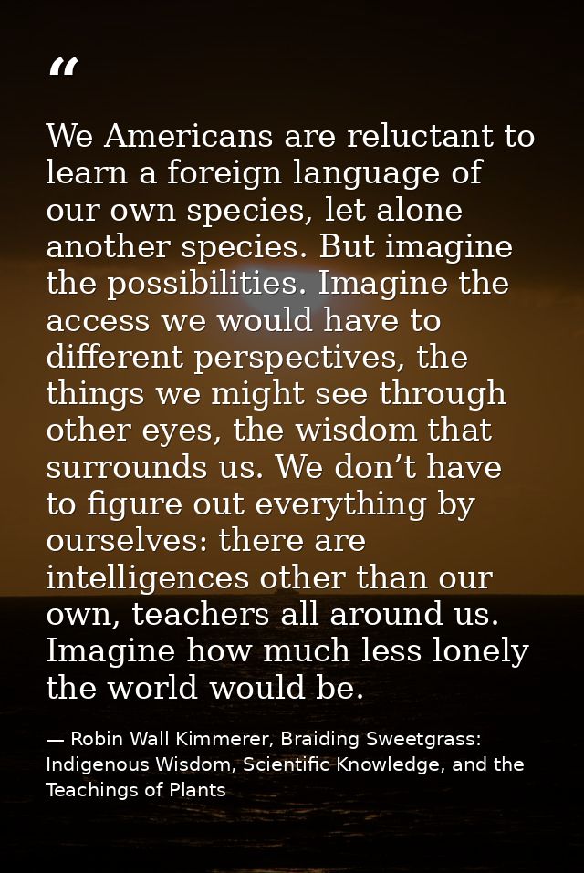 We Americans are reluctant to learn a foreign language of our own species, let alone another species. But imagine the po — Robin Wall Kimmerer, Braiding Sweetgrass: Indigenous Wisdom, Scientific Knowledge, and the Teachings of Plants