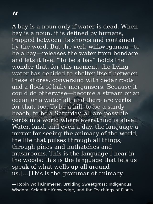 A bay is a noun only if water is dead. When bay is a noun, it is defined by humans, trapped between its shores and conta — Robin Wall Kimmerer, Braiding Sweetgrass: Indigenous Wisdom, Scientific Knowledge, and the Teachings of Plants
