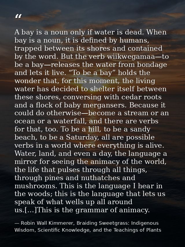 A bay is a noun only if water is dead. When bay is a noun, it is defined by humans, trapped between its shores and conta — Robin Wall Kimmerer, Braiding Sweetgrass: Indigenous Wisdom, Scientific Knowledge, and the Teachings of Plants