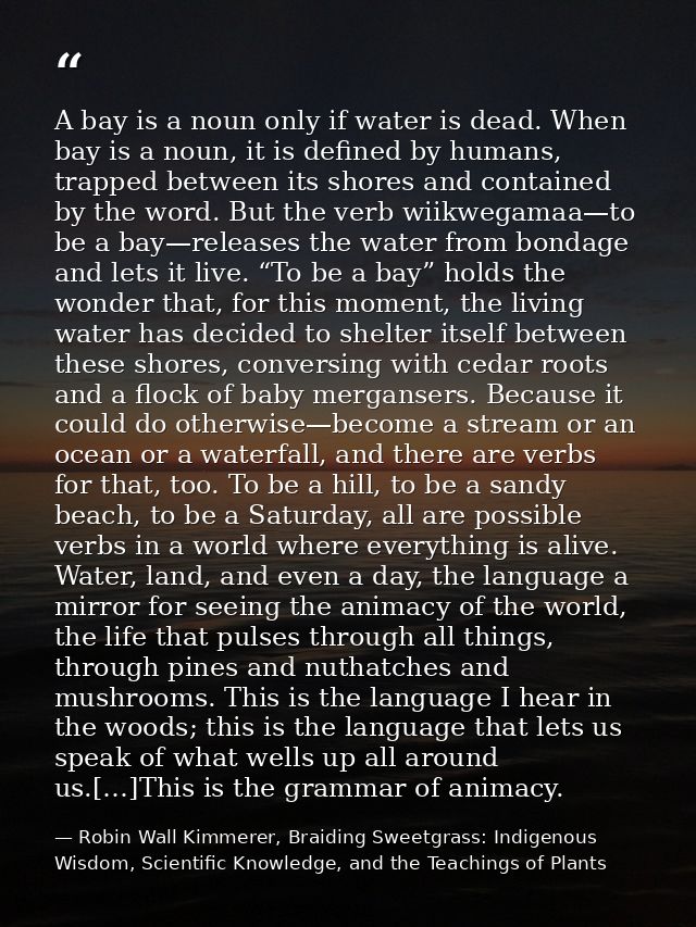 A bay is a noun only if water is dead. When bay is a noun, it is defined by humans, trapped between its shores and conta — Robin Wall Kimmerer, Braiding Sweetgrass: Indigenous Wisdom, Scientific Knowledge, and the Teachings of Plants