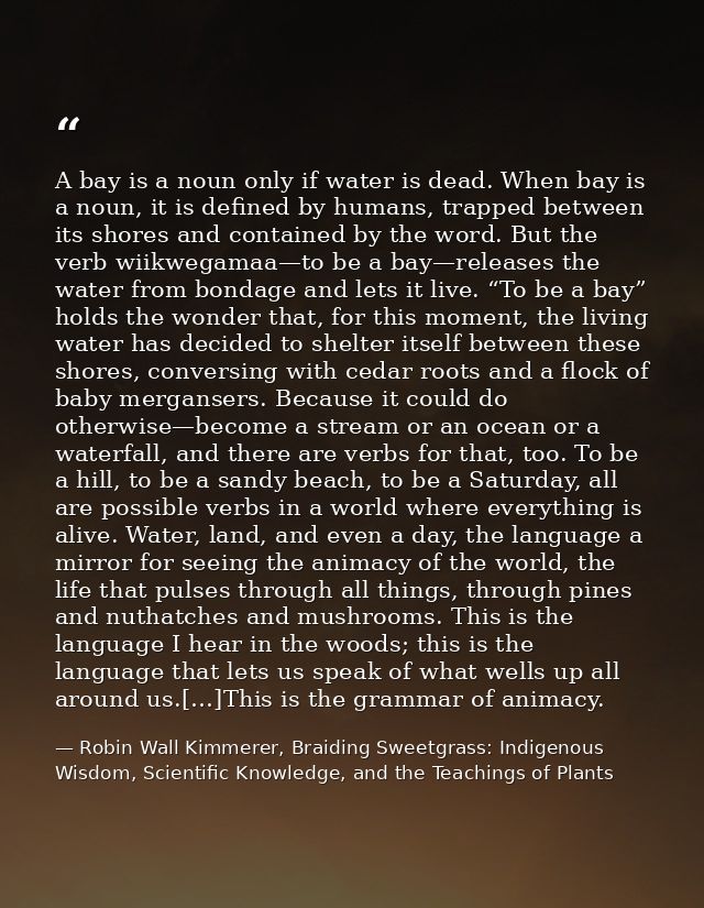 A bay is a noun only if water is dead. When bay is a noun, it is defined by humans, trapped between its shores and conta — Robin Wall Kimmerer, Braiding Sweetgrass: Indigenous Wisdom, Scientific Knowledge, and the Teachings of Plants