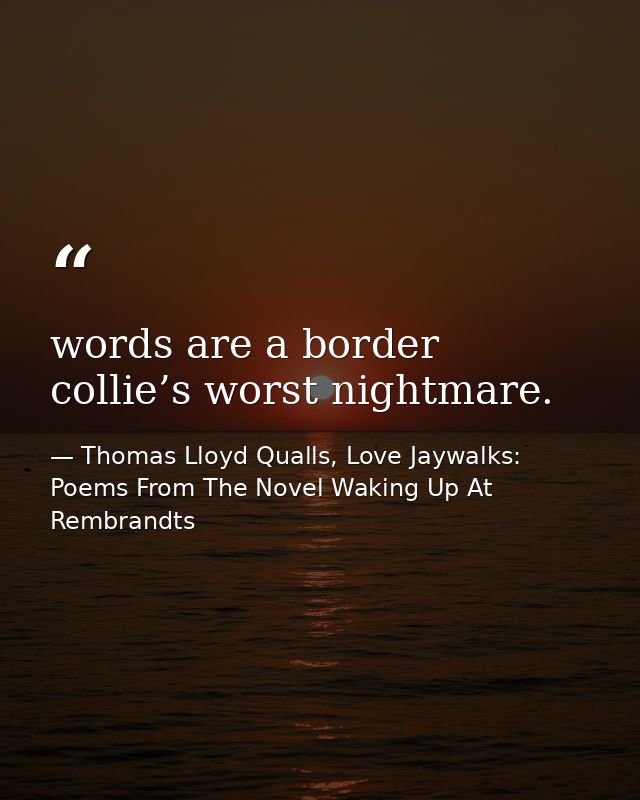 words are a border collie’s worst nightmare. — Thomas Lloyd Qualls, Love Jaywalks: Poems From The Novel Waking Up At Rembrandts