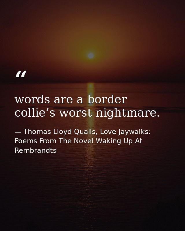 words are a border collie’s worst nightmare. — Thomas Lloyd Qualls, Love Jaywalks: Poems From The Novel Waking Up At Rembrandts