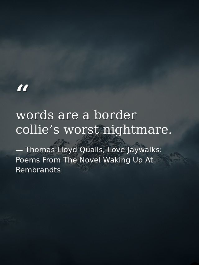 words are a border collie’s worst nightmare. — Thomas Lloyd Qualls, Love Jaywalks: Poems From The Novel Waking Up At Rembrandts