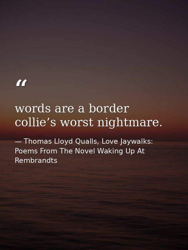 words are a border collie’s worst nightmare. — Thomas Lloyd Qualls, Love Jaywalks: Poems From The Novel Waking Up At Rembrandts