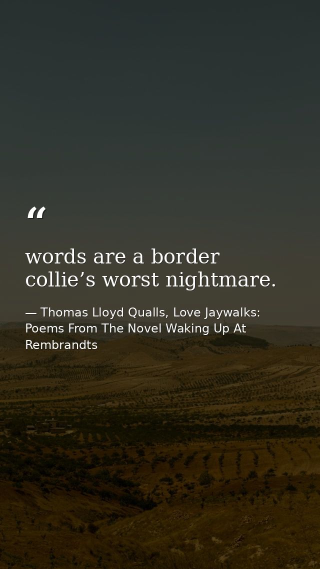 words are a border collie’s worst nightmare. — Thomas Lloyd Qualls, Love Jaywalks: Poems From The Novel Waking Up At Rembrandts