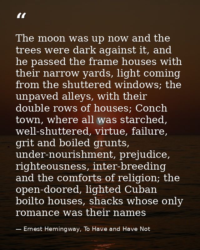 The moon was up now and the trees were dark against it, and he passed the frame houses with their narrow yards, light co — Ernest Hemingway, To Have and Have Not