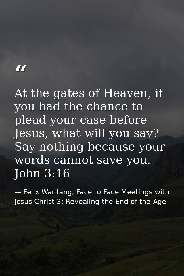 At the gates of Heaven, if you had the chance to plead your case before Jesus, what will you say? Say nothing because yo — Felix Wantang, Face to Face Meetings with Jesus Christ 3: Revealing the End of the Age