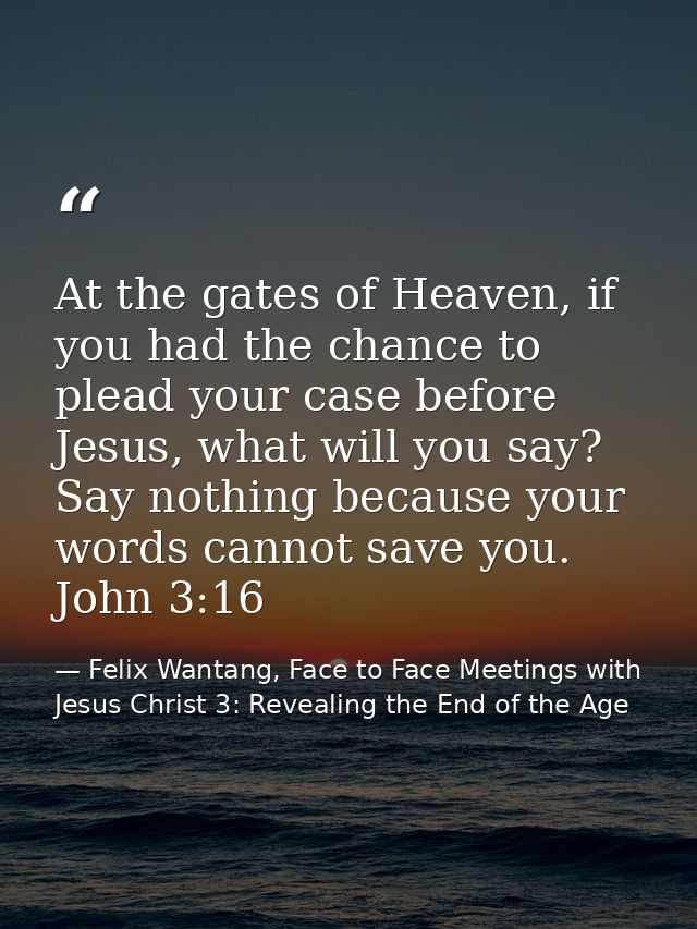 At the gates of Heaven, if you had the chance to plead your case before Jesus, what will you say? Say nothing because yo — Felix Wantang, Face to Face Meetings with Jesus Christ 3: Revealing the End of the Age