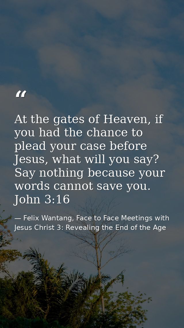 At the gates of Heaven, if you had the chance to plead your case before Jesus, what will you say? Say nothing because yo — Felix Wantang, Face to Face Meetings with Jesus Christ 3: Revealing the End of the Age