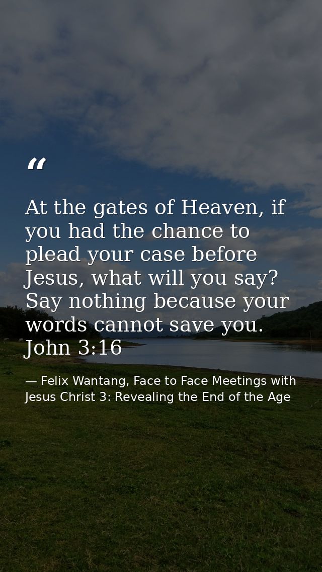 At the gates of Heaven, if you had the chance to plead your case before Jesus, what will you say? Say nothing because yo — Felix Wantang, Face to Face Meetings with Jesus Christ 3: Revealing the End of the Age