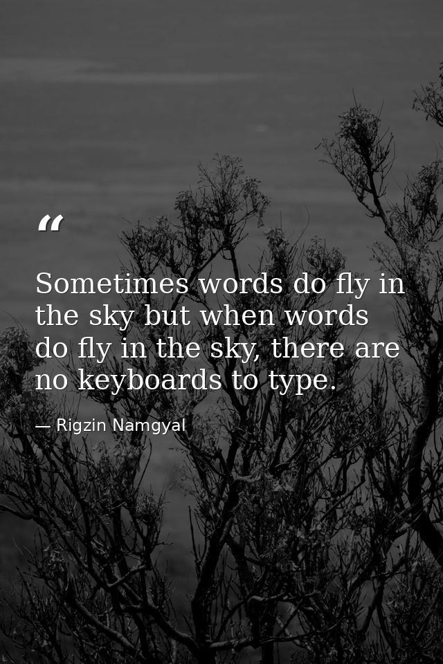 Sometimes words do fly in the sky but when words do fly in the sky, there are no keyboards to type. — Rigzin Namgyal