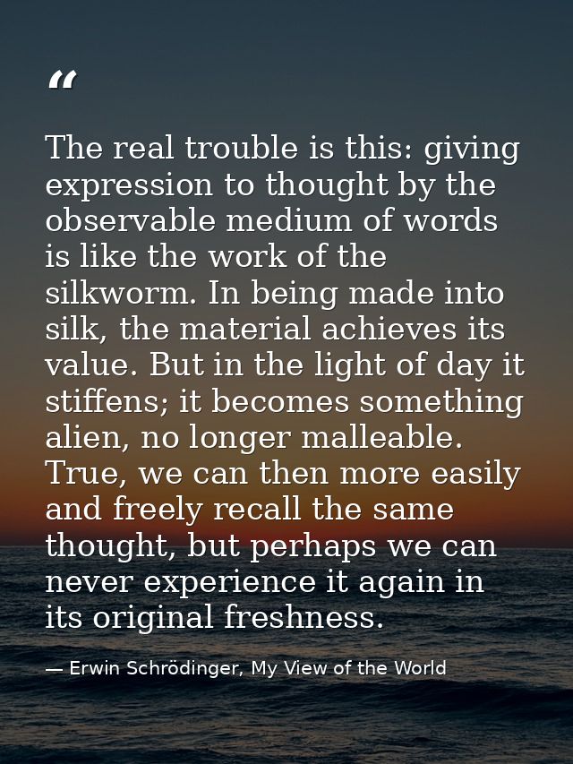 The real trouble is this: giving expression to thought by the observable medium of words is like the work of the silkwor — Erwin Schrödinger, My View of the World