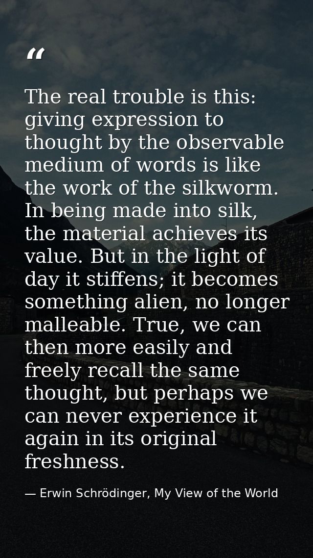 The real trouble is this: giving expression to thought by the observable medium of words is like the work of the silkwor — Erwin Schrödinger, My View of the World