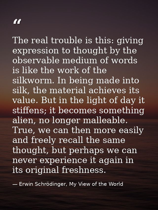 The real trouble is this: giving expression to thought by the observable medium of words is like the work of the silkwor — Erwin Schrödinger, My View of the World