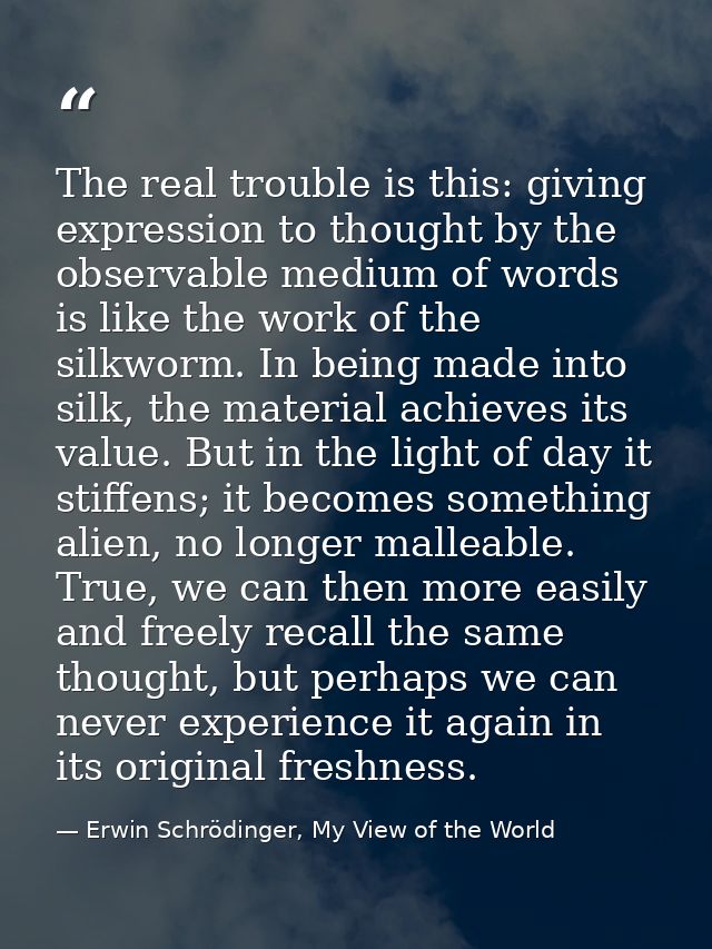 The real trouble is this: giving expression to thought by the observable medium of words is like the work of the silkwor — Erwin Schrödinger, My View of the World