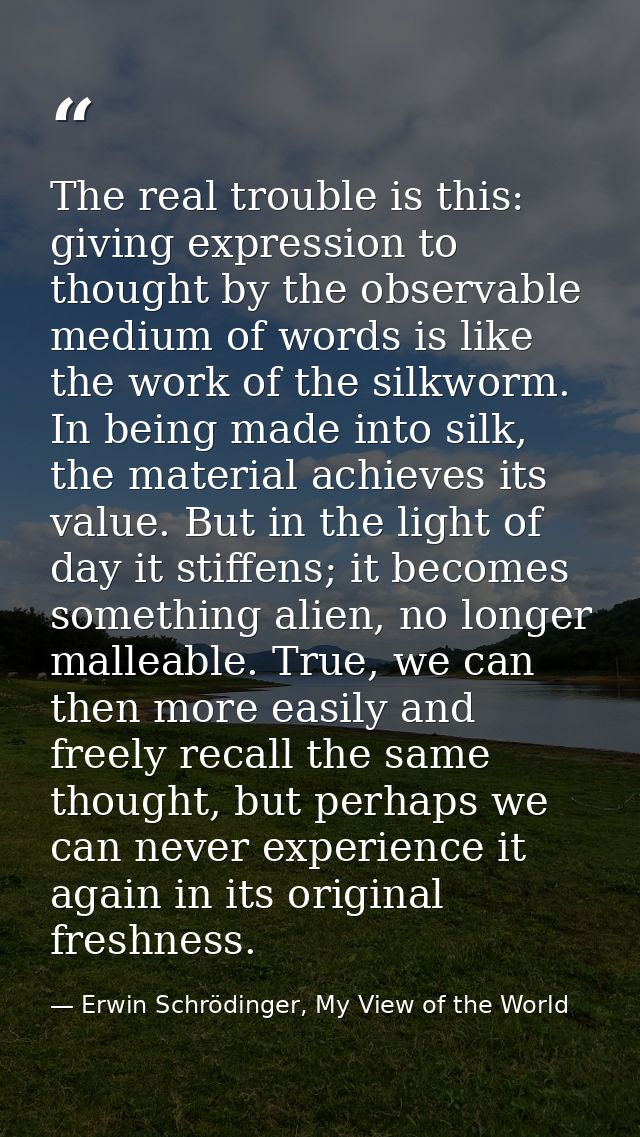 The real trouble is this: giving expression to thought by the observable medium of words is like the work of the silkwor — Erwin Schrödinger, My View of the World
