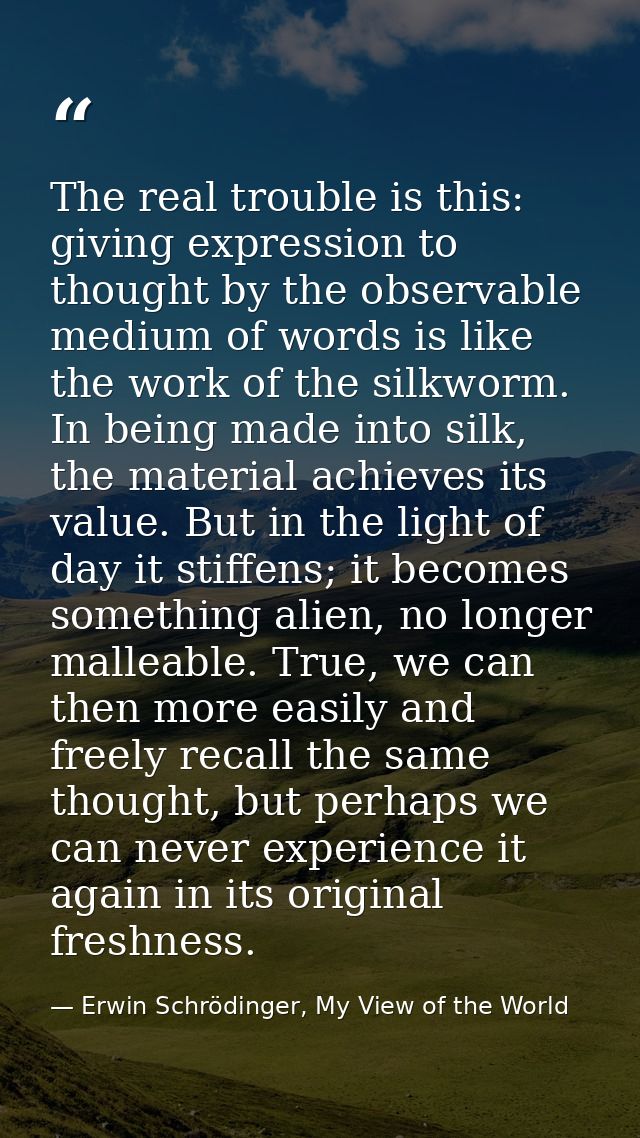 The real trouble is this: giving expression to thought by the observable medium of words is like the work of the silkwor — Erwin Schrödinger, My View of the World